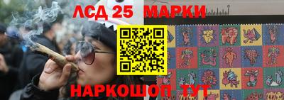 гидропоника Кунгур