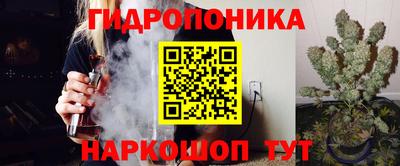 гидропоника Кунгур