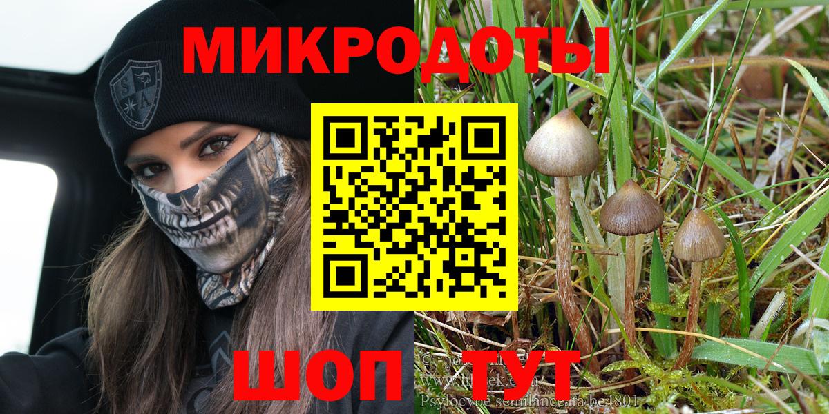 Галлюциногенные грибы Psilocybine cubensis Иваново