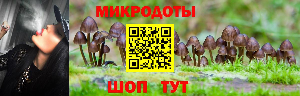 Псилоцибиновые грибы мицелий  Вход с VPN  Иваново 